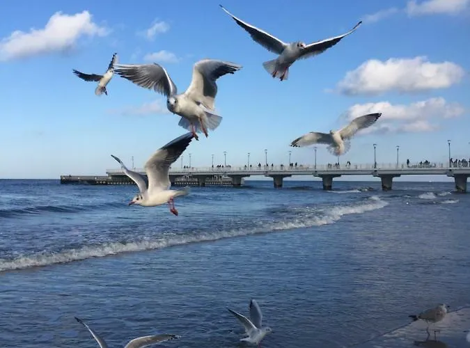 Lägenhet 454 W Diva Kołobrzeg